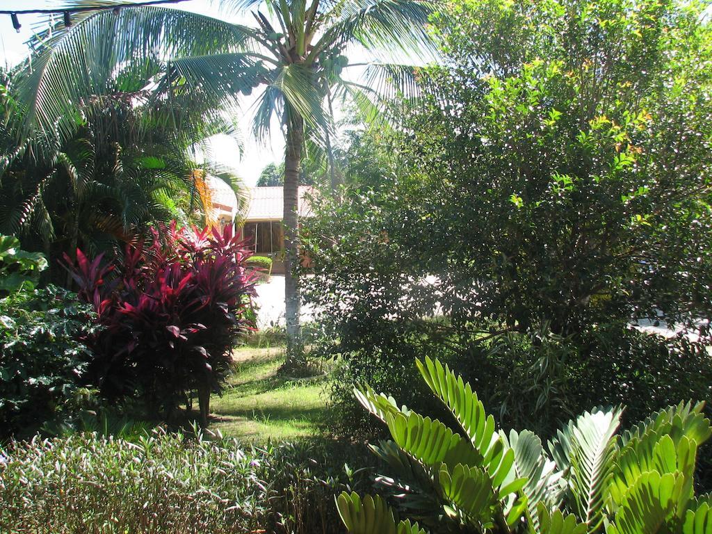 Hotel La Arena Liberia Kültér fotó